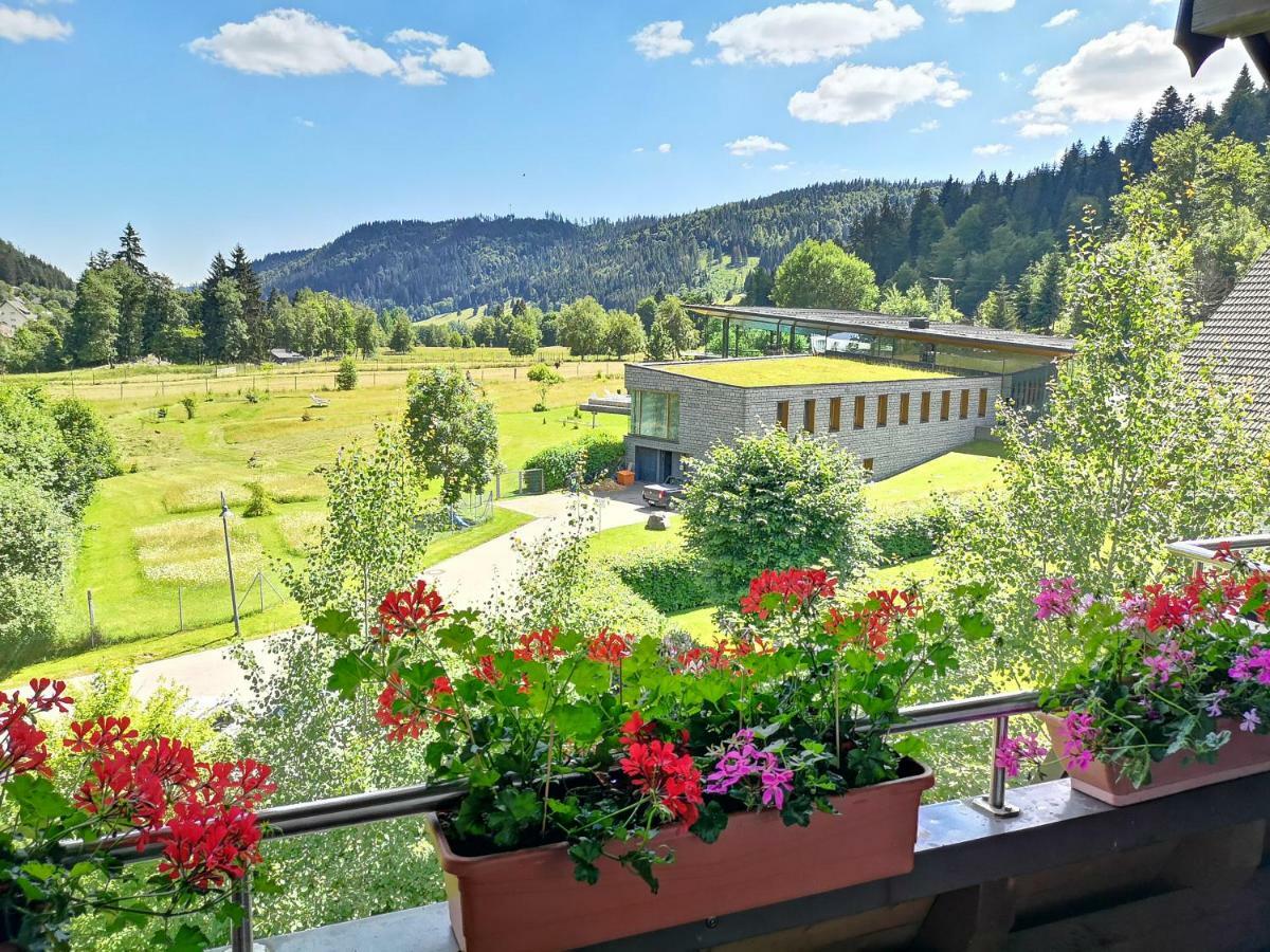 C1 Albmatte-Fewo Sauna, Hallenbad Aussenbecken Massagen Nebenan Menzenschwand Exterior photo